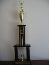 Picture of Bustacup Trophy